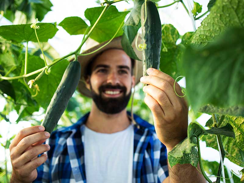 Finding a way to separate ‘work’ to do a business. Organic4