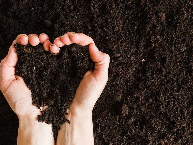 Our Beauty Buyer’s Guide To Collagen. Organic9