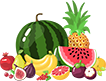 H5 Icon2