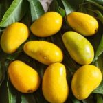 amrapali mango/ grafted plant/ live plants