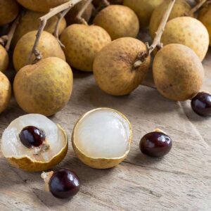 longhan fruits / grafted plant/ live plant