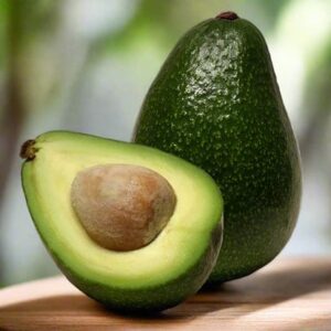 avocado (butter fruits)/ grafted plant /live plants