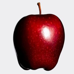 hot climate apple / grafted plant / live plant