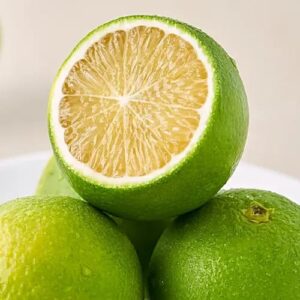 sweet lime (mousambi)/ grafted plant /live plant