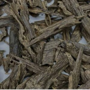 agar wood / seedling plant