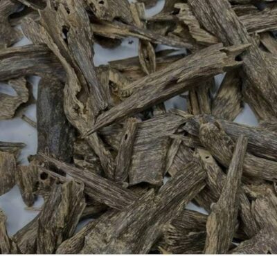 agar wood / seedling plant