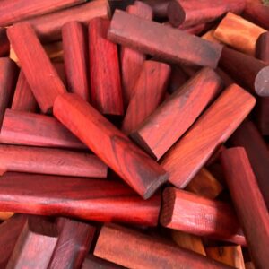 red sandalwood plant / seedling plant